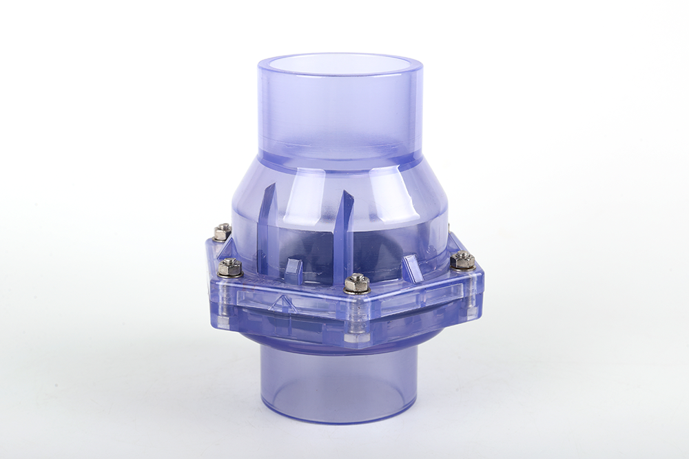 赵县透明翻板式止回阀